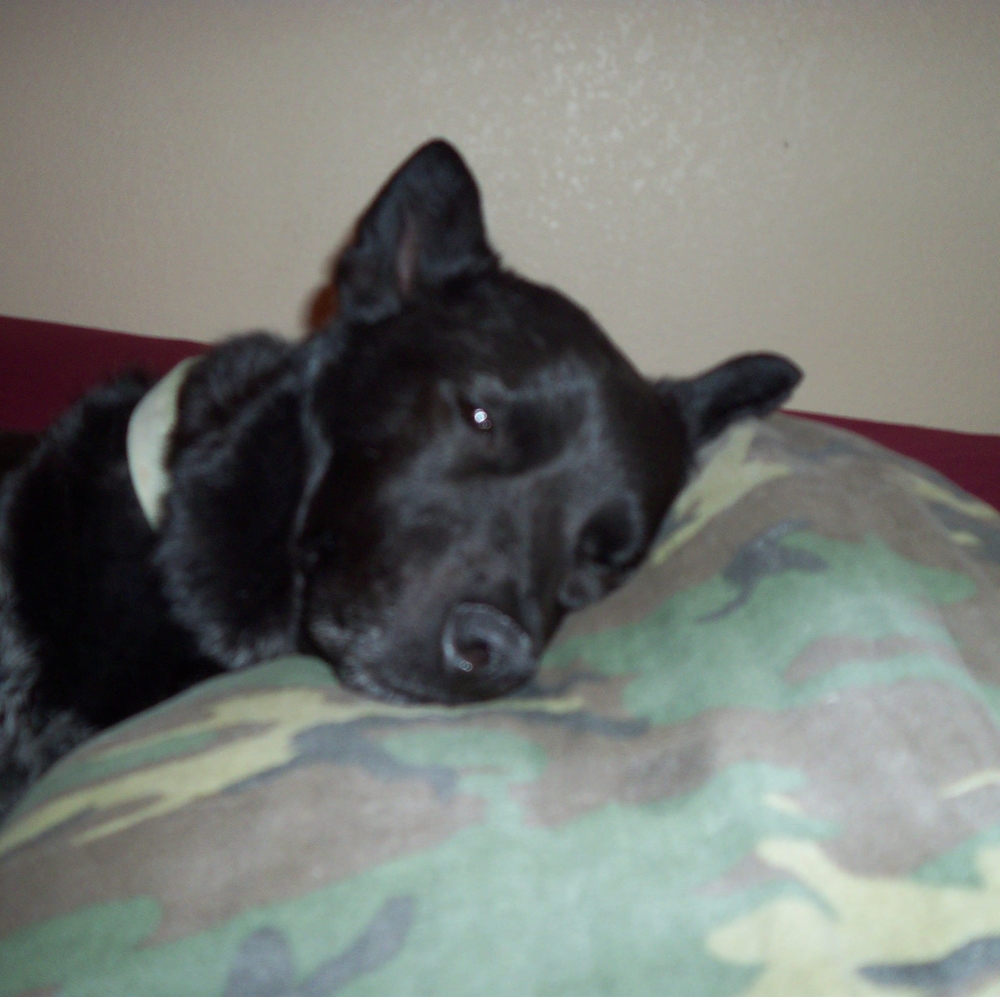 Meet your Posher, Michael